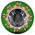 yDjEyCscXDg-channel-avatar-Faiz Ali Hashmi