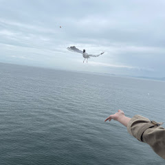 zzアイコン画像