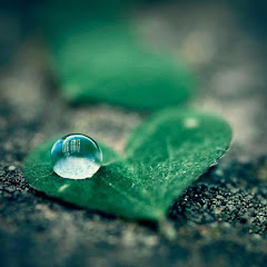 Healing Rain - Relaxing Sounds avatar