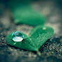 Healing Rain - Relaxing Sounds Image Thumbnail