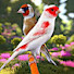 UIpEHZKGWj0-channel-avatar-عالم الطيور  Birdworld