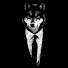 ajSLnbga41s-channel-avatar-THE BLACK WOLF and DarkWhisper