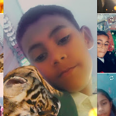 Ayaan king
