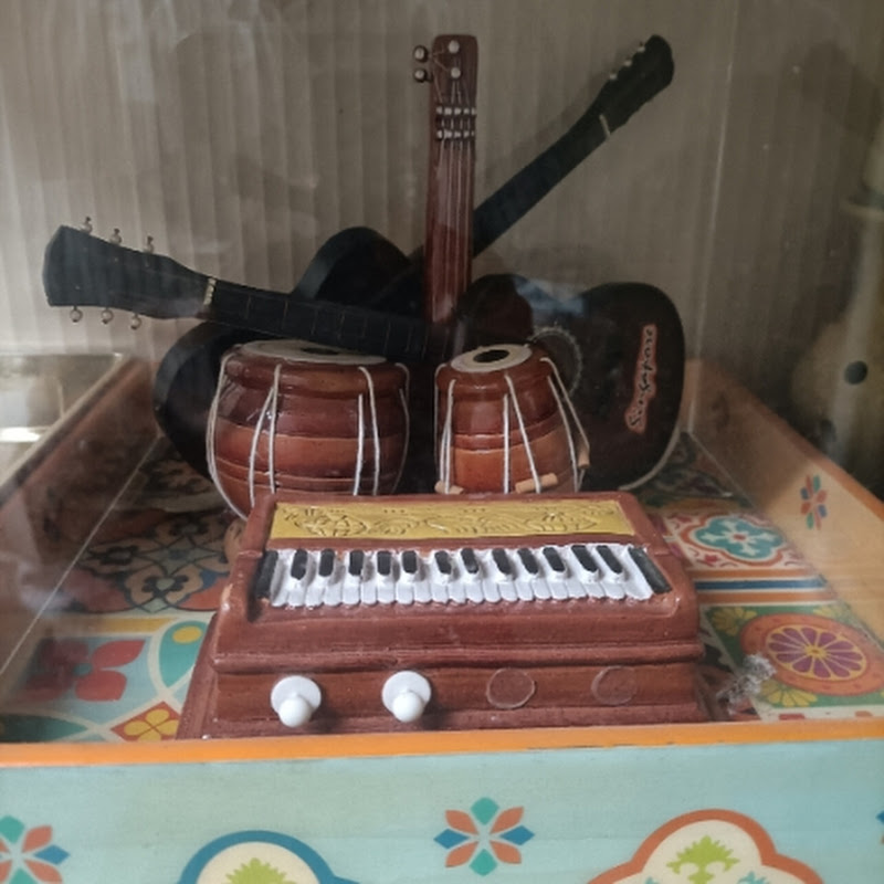 Dilip Dhopade MASTER OF MUSIC & comedy 