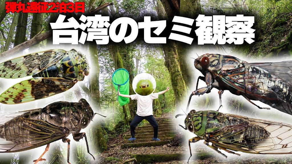 海砂利水魚出演「われら地球県民」熊本県環境基本計画ビデオ 海砂利水魚出演「われら地球県民」熊本県環境基本計画ビデオ 海砂利