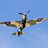 @misterspitfire6564's avatar