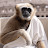 @R888-x2f's avatar