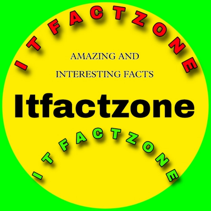 It Fact Zone