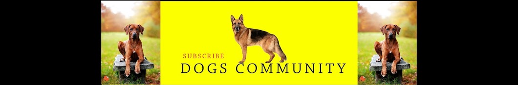 Dogs Community Аватар канала YouTube