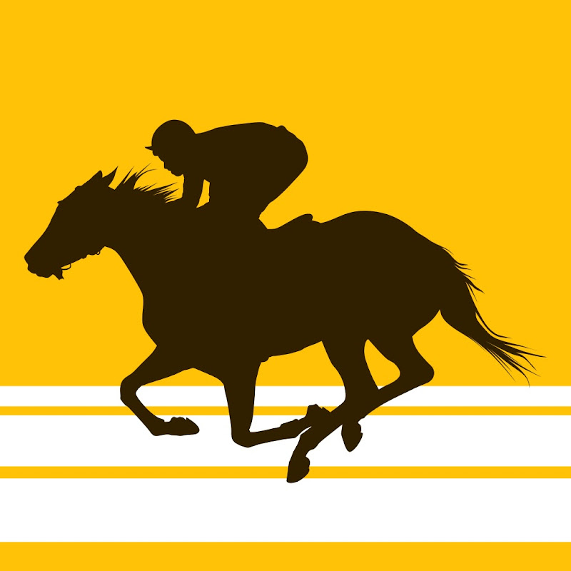 Race Mirror - Horse Racing for the Masses