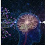 brainvibes logo