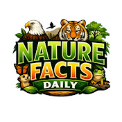 Nature Facts Daily