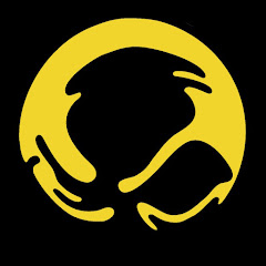 The Bouncing Souls net worth