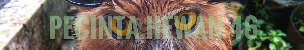 PecintaBinatang 46 Avatar de chaîne YouTube