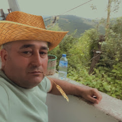 Aslan3455