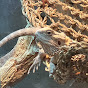 Lounge Lizard Games 