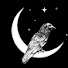 is-1NrdMvcQ-channel-avatar-Raven Relics Tarot