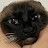 @바비팬냥이21