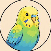 Budgie Science