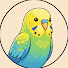 mFjLIY0ogv0-channel-avatar-Budgie Science