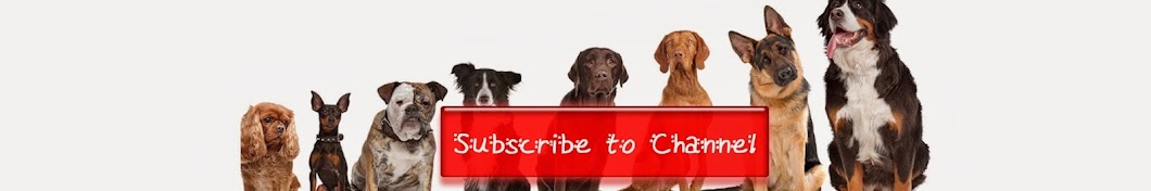 Dogs YouTube channel avatar