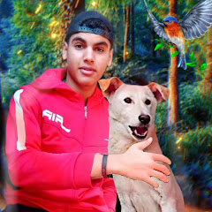 Animals _ أشرف محمود avatar