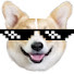 -Zyqn5HYAGQ-channel-avatar-shredberg