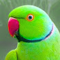 Parrot Eden logo