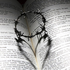 The Bible Study