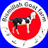 UXlW637a2Lo-channel-avatar-bismillah goat farm بسم اللہ گوٹ فارم