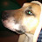 @Whosyourdaddy-ty2xe Avatar