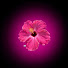 N98imFHslqo-channel-avatar-Agnes sped up