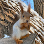 nature quirrels logo