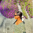 nda-qLKAg5Q-channel-avatar-Life In Italy