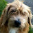 @briandoyle4298 Avatar
