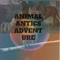 Animal Antics Adventure logo