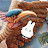 @miffy-j6x