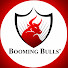 YYO7xSF8Ris-channel-avatar-Booming Bulls