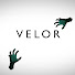 FViJaTGsREc-channel-avatar-VELOR
