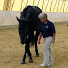 kiub_5xJXMQ-channel-avatar-TOTAL HORSE METHOD MARIE HOFFMAN