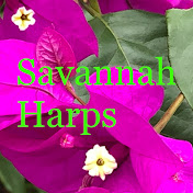 Savannah Harps