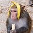 OqUKf3q20nI-channel-avatar-Mankee
