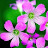 @일편단심-g9c