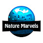 Nature Marvels logo