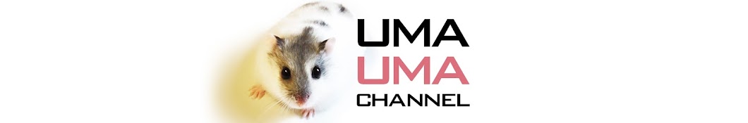 UmaUmaChannel YouTube channel avatar