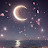 @AyeshaMaria-h8n7j