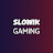 Slowik Gaming