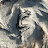 @arshia.p7317 Avatar