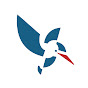 Kingfisher Medical logo
