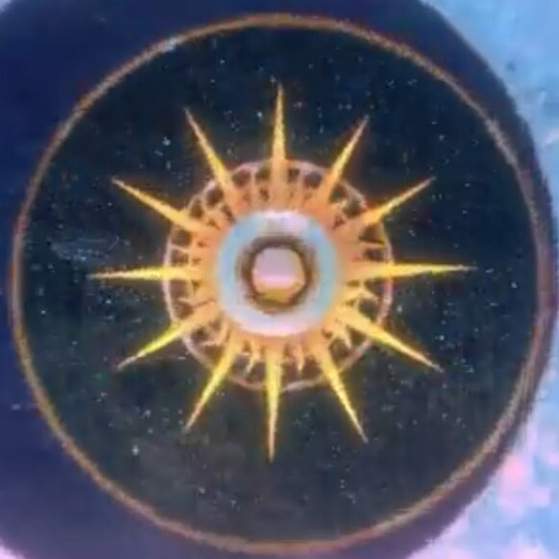 SN fans icon